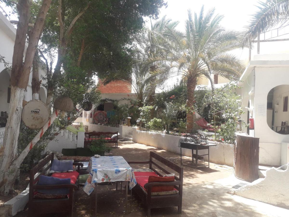 Fighting Kangaroo Camp Hotel Dahab Buitenkant foto