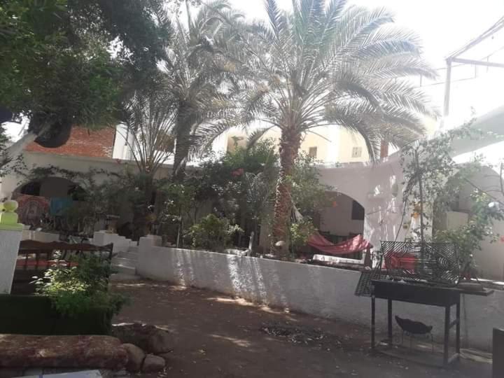 Fighting Kangaroo Camp Hotel Dahab Buitenkant foto
