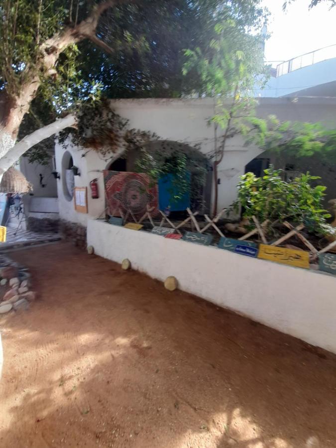 Fighting Kangaroo Camp Hotel Dahab Buitenkant foto