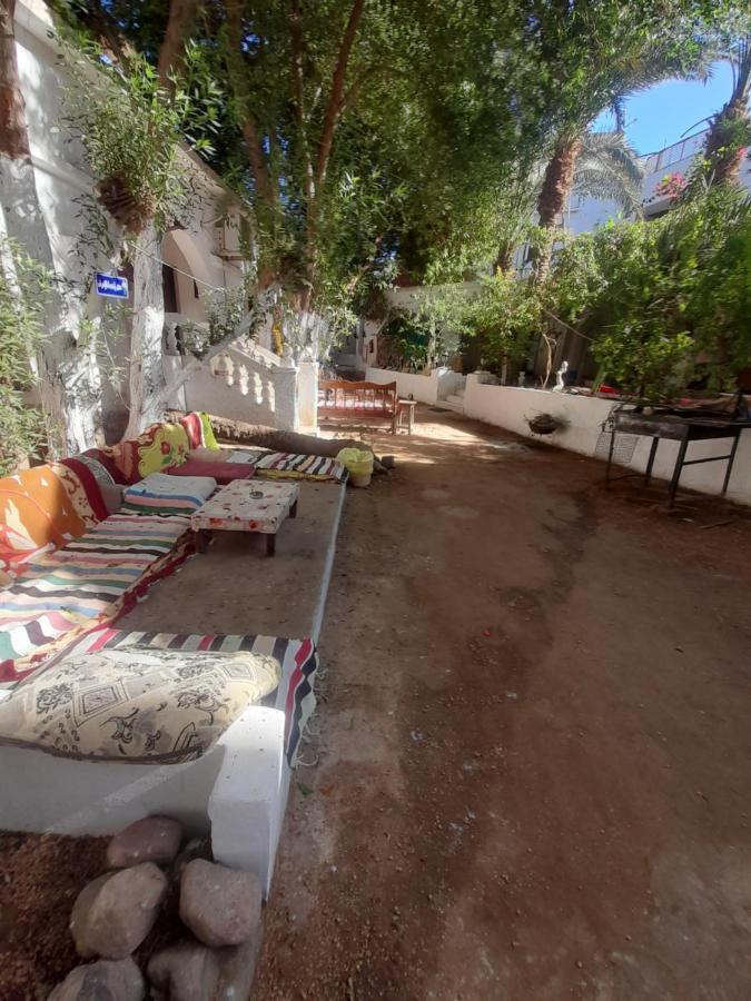 Fighting Kangaroo Camp Hotel Dahab Buitenkant foto
