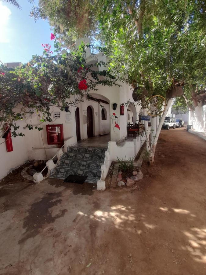 Fighting Kangaroo Camp Hotel Dahab Buitenkant foto