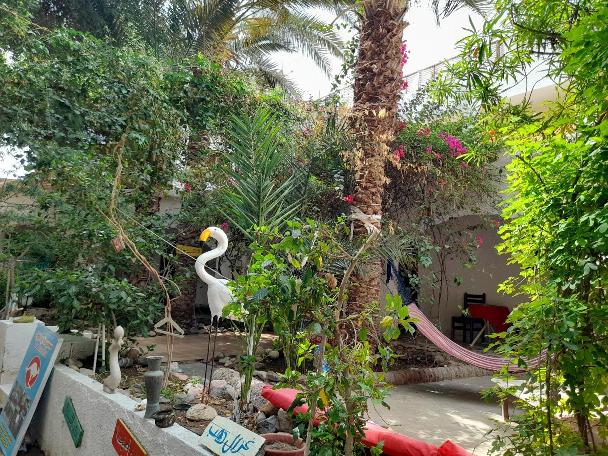 Fighting Kangaroo Camp Hotel Dahab Buitenkant foto